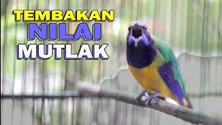 Download lagu 🔴CUCAK CUNGKOK TEMBAKAN ISTIMEWA .. Nilai Mutlak A di arena lomba mp3 Download lagu 🔴CUCAK CUNGKOK TEMBAKAN ISTIMEWA .. Nilai Mutlak A di arena lomba mp3