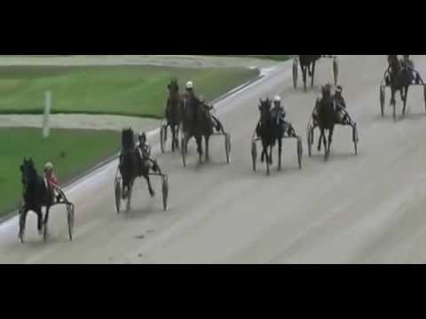 Schwarzer Steward Rennen 2014_Faust Hanover Josef Franzl