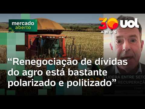 Parte do risco da renegociação de dívidas no agro pode ficar com bancos, diz professor