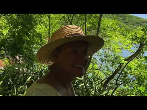 Ghosts and dolphins at Chacachacare,Trinidad Ep 67