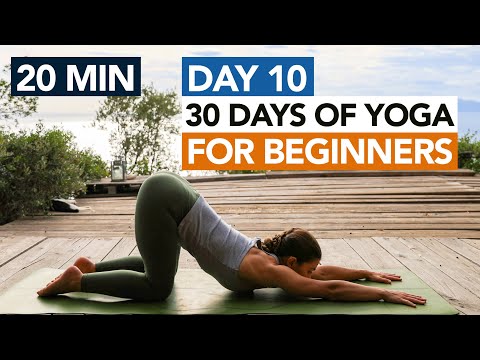 20 Min Full Body Beginner Yoga (Day 10) 30 Days of Yoga For Beginners thumbnail