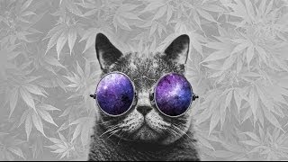 The In Crowd - Marcus Garvey's Back In Town