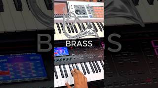 Brass Fantom 06 #brass #reelit