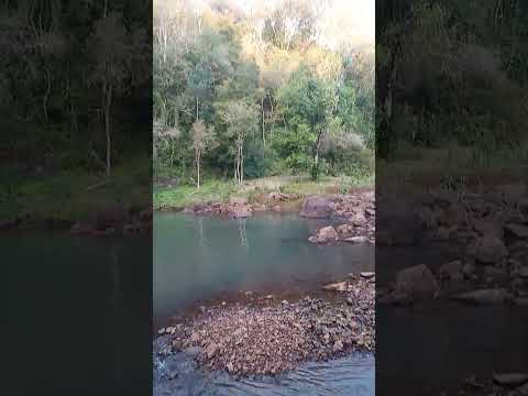 Camping Andrés en Gobernador López Misiones 🇦🇷❤️🇦🇷 #turismo #nature