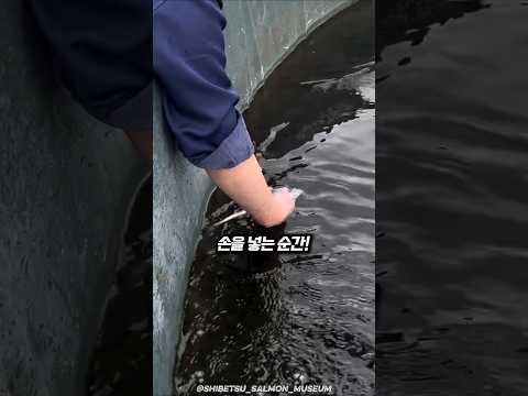 일본식 괴물 홍보법