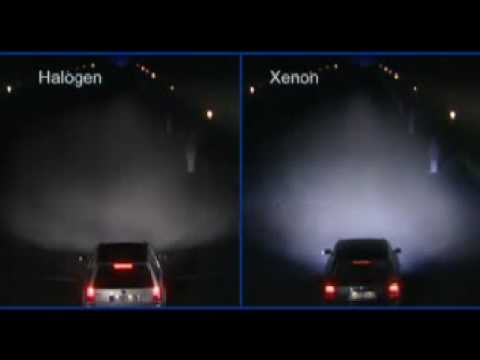 Xenon vs. Halogen