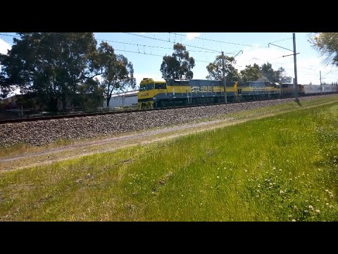 railfanning in south west Sydney during lockdown
