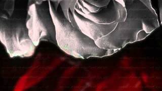 The Cruxshadows - Breathe