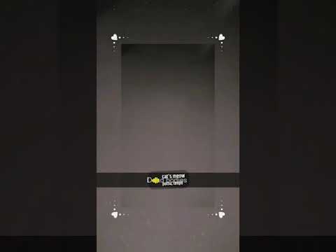 sleeping cutes cats/ from Asad Abbas vlogs