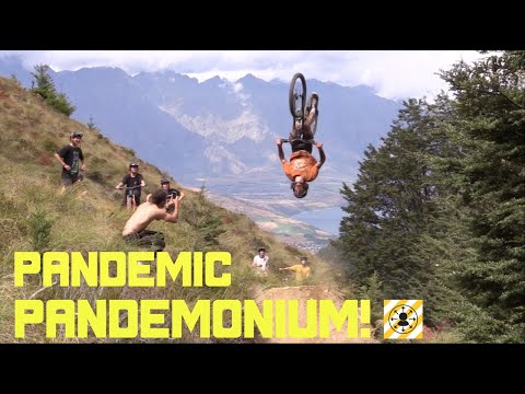 Pandemic Pandemonium