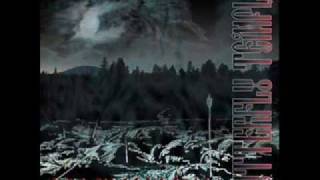 Butterfly Temple - Kolovorot