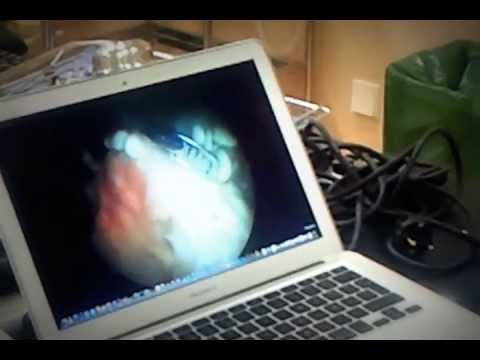 video 2013 06 20 21 05 34