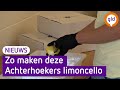 Zo maken deze Achterhoekers hun eigen limoncello