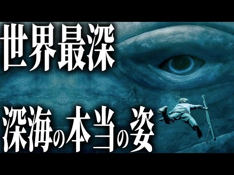 先史時代の生物を発見:研究者が深海で珍しい発見をする