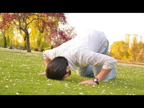 Si duhet ti falim namazet me zë dhe pa zë kur falemi vetëm? - Dr. Imam Ahmed Kalaja