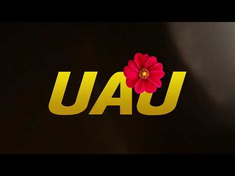 download lagu mp3 mp4 Uau, download lagu Uau gratis, unduh video klip Download Uau Mp3 dan Mp4 Free All Gratis