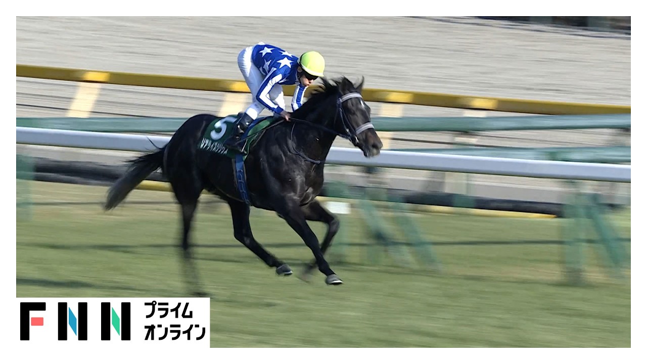 【京都記念・GⅡ＆共同通信杯・GⅢ】　WIN5発売金額が史上最高62億円超！　引退間近の藤岡佑介騎手が復活Vに導く＆リアライズシリウス重賞2勝目（2026年02月16日）