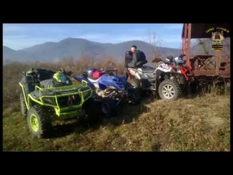 343.DEČKI ŽUTNICE - Milengrad