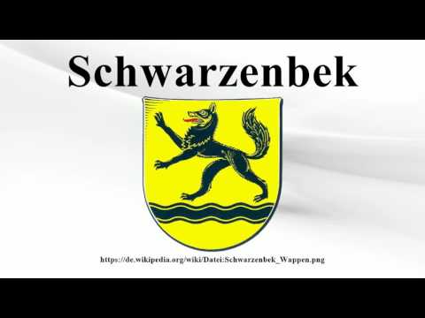 Schwarzenbek
