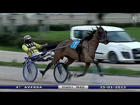 Aversa trotto 25 Gennaio 2023 - 4° Corsa