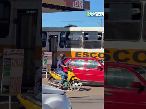 Homem encontra transporte inusitado de cavalos em ônibus escolar