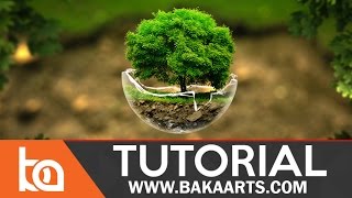 Intermediate PhotoManipulation Tutorial | The Tree Sphere
