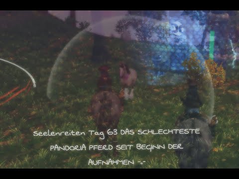SSO Seelenreiten Tag 63 26.05.2020 DAS SCHLECHTESTE PANDORIA PFERD SEIT BEGINN DES SEELENREITENS -.-