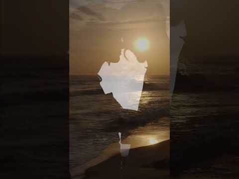 Александр Коротко, Дивитися , “І хитнулись терези рівноваги часу…”