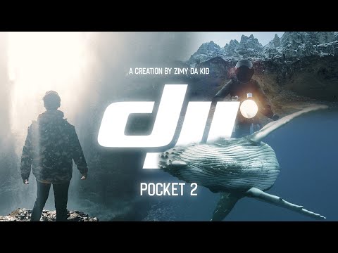 Vaizdo kamera DJI Pocket 2 Creator Combo video
