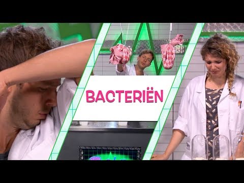 KAAS MAKEN VAN ELBERT'S BACTERIËN! - TOPDOKS LABEXPERIMENT