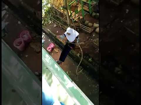 Barumbung Barsipala Sman10Bulukumba