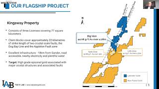 Labrador Gold: High-Grade Gold Discovered in Newfoundland, Canada