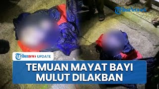 Temuan Mayat Bayi dalam Ransel di Pinggir Sawah Karawang: Kondisi Mulut Dilakban, Tubuh Membiru