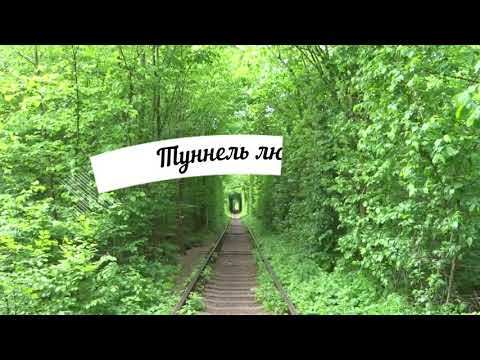 Палац-руїни Терещенків