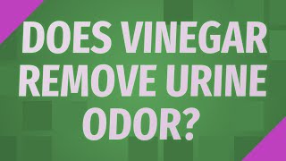 Does vinegar remove urine odor?