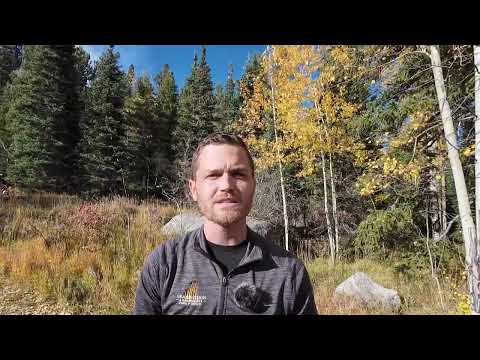 Introduction to the 5-Day Financial Challenge