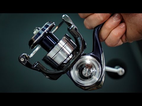 Daiwa CERTATE SW 21| Is this the BEST value Spinning reel on the market?