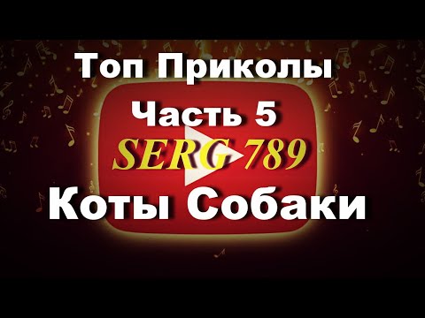 🔴Топ Приколы Коты Собаки(Часть 5)✅ 🙂 👍 🐱 🐶