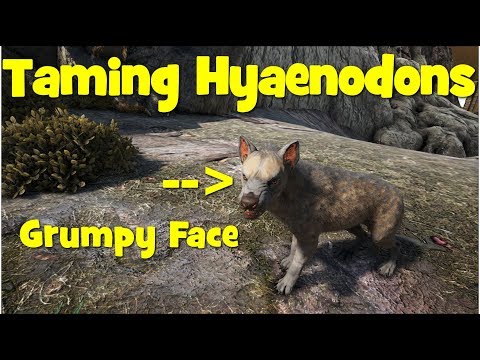 Ark - Taming Hyaenodons & Where to find them on Ragnarok
