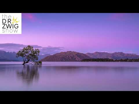 #44: Psychotherapy and Music Are the Same Thing I The Dr. Zwig Show