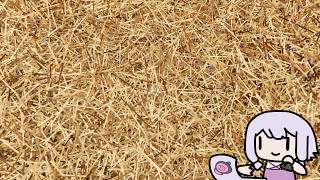 【Find The Needle】13686784本の藁から針を探す