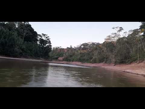 Terra Indígena Mamodate - Acre, Brasil.