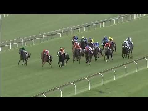 2019.02.02 Gauteng Guineas (RSA) - National Park