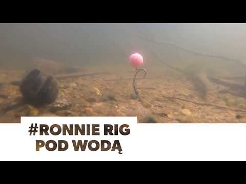 Przypon Ronnie Rig pod wodą