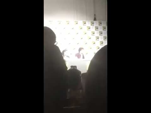 THE 100 PANEL / SDCC 2017  / News, Season 5 & Highlights