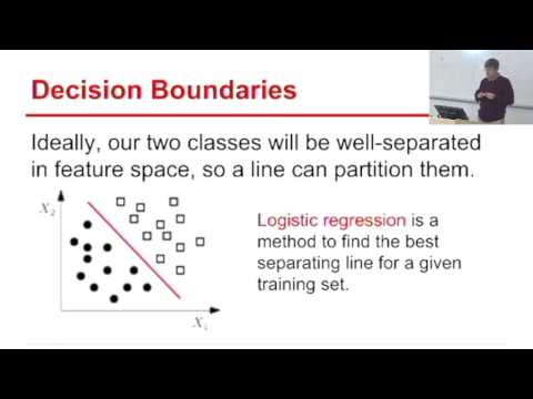 賭けてみましょう: クモ vs ヘビ — この戦いではどちらが勝つと思いますか?