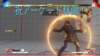 Street Fighter 5 G  3F対策 連係動画