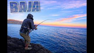 Going for the big ones one last time... [Baja Fishing Ep. 5 of 5]