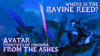 Ravine Reed location • Avatar: Frontiers of Pandora: From the Ashes