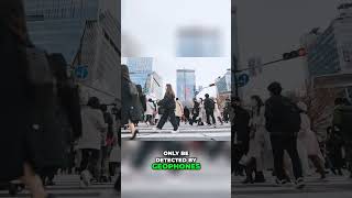 The Power and Impact of Earthquakes  What You Need to Know preparedness Seismic Natural disasters